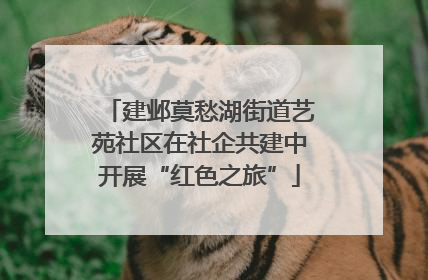 建邺莫愁湖街道艺苑社区在社企共建中开展“红色之旅”