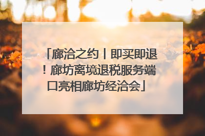 廊洽之约丨即买即退！廊坊离境退税服务端口亮相廊坊经洽会