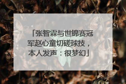 张智霖与世锦赛冠军赵心童切磋球技，本人发声：很梦幻