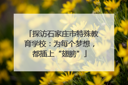 探访石家庄市特殊教育学校：为每个梦想，都插上“翅膀”