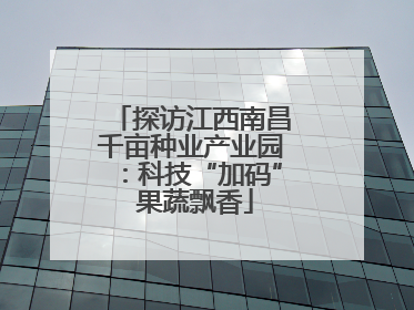 探访江西南昌千亩种业产业园：科技“加码” 果蔬飘香