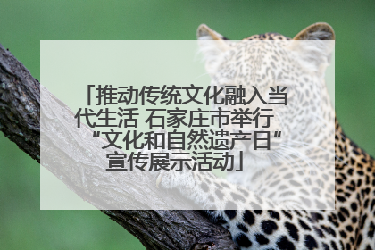 推动传统文化融入当代生活 石家庄市举行“文化和自然遗产日”宣传展示活动