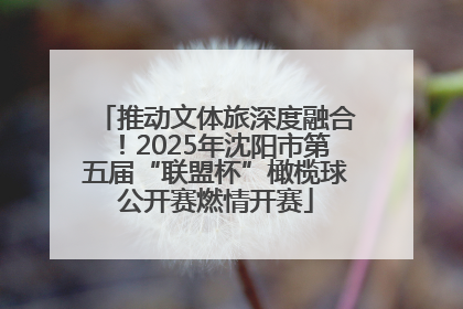 推动文体旅深度融合！2025年沈阳市第五届“联盟杯”橄榄球公开赛燃情开赛