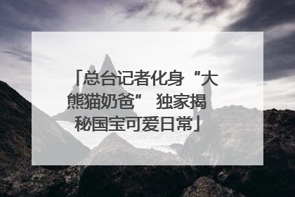 总台记者化身“大熊猫奶爸” 独家揭秘国宝可爱日常
