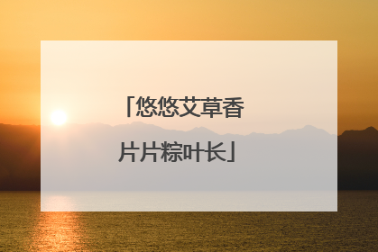 悠悠艾草香 片片粽叶长