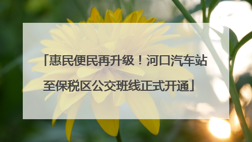 惠民便民再升级！河口汽车站至保税区公交班线正式开通