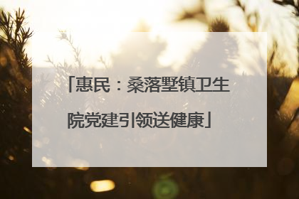 惠民：桑落墅镇卫生院党建引领送健康
