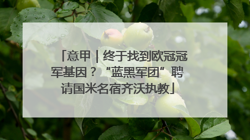 意甲｜终于找到欧冠冠军基因？“蓝黑军团”聘请国米名宿齐沃执教