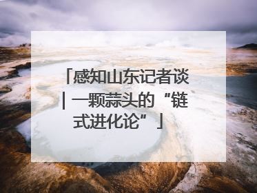 感知山东记者谈｜一颗蒜头的“链式进化论”