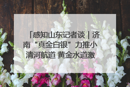 感知山东记者谈｜济南“真金白银”力推小清河航道 黄金水道激活区域经济新动能