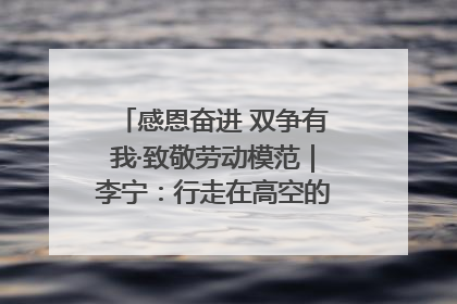 感恩奋进 双争有我·致敬劳动模范｜李宁：行走在高空的“电网卫士”