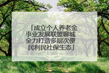 成立个人养老金事业发展联盟聊城全力打造多层次便民利民社保生态