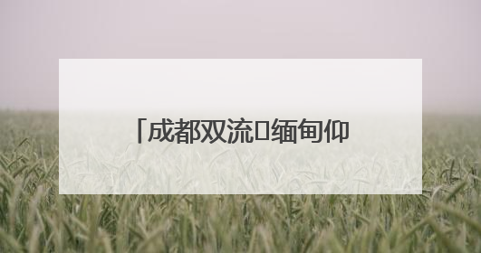 成都双流⇌缅甸仰光全货运航线开通