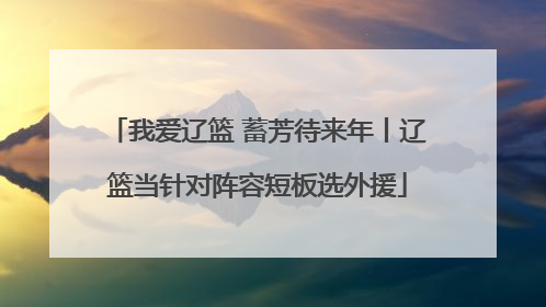 我爱辽篮 蓄芳待来年丨辽篮当针对阵容短板选外援