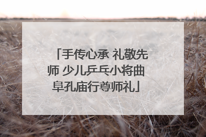 手传心承 礼敬先师 少儿乒乓小将曲阜孔庙行尊师礼