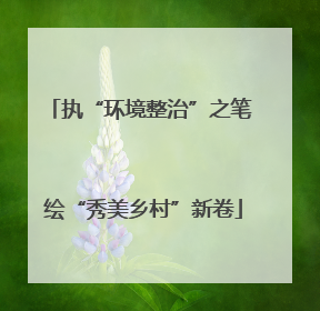 执“环境整治”之笔 绘“秀美乡村”新卷