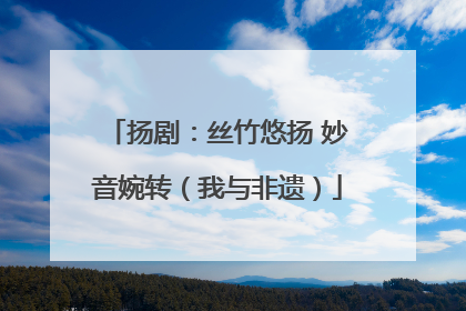扬剧：丝竹悠扬 妙音婉转（我与非遗）