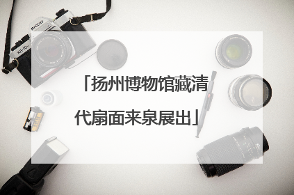 扬州博物馆藏清代扇面来泉展出