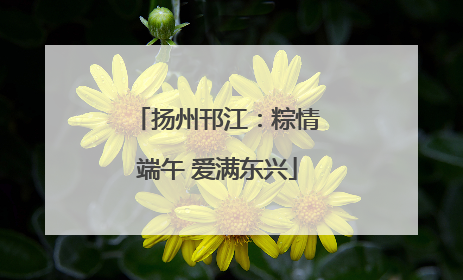 扬州邗江：粽情端午 爱满东兴