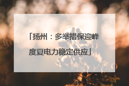 扬州：多举措保迎峰度夏电力稳定供应