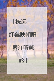 抚远——红莓映朝阳 界江听熊吟