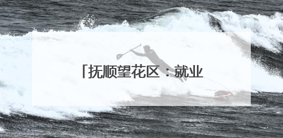 抚顺望花区：就业服务“出圈” 居民幸福“加码”