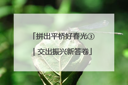 拼出平桥好春光③｜交出振兴新答卷