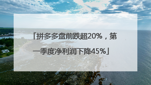 拼多多盘前跌超20%，第一季度净利润下降45%