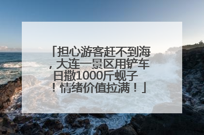 担心游客赶不到海，大连一景区用铲车日撒1000斤蚬子！情绪价值拉满！