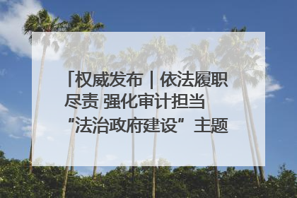 权威发布｜依法履职尽责 强化审计担当 “法治政府建设”主题系列新闻发布会市审计局专场召开