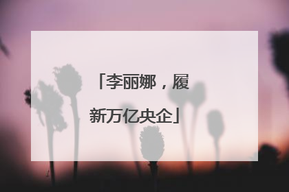 李丽娜，履新万亿央企