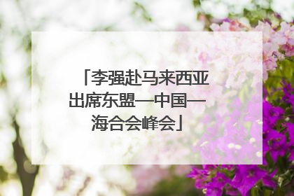 李强赴马来西亚出席东盟—中国—海合会峰会