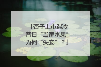 杏子上市遇冷 昔日“当家水果”为何“失宠”？