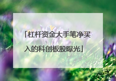 杠杆资金大手笔净买入的科创板股曝光