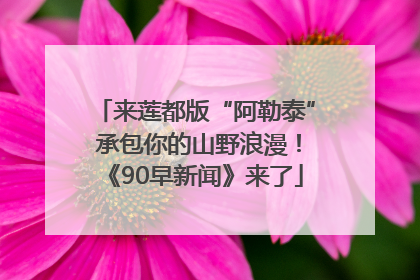 来莲都版“阿勒泰” 承包你的山野浪漫！《90早新闻》来了