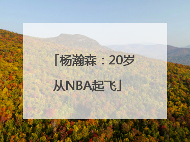 杨瀚森：20岁从NBA起飞