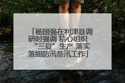 杨国强在利津县调研时强调 精心组织“三夏”生产 落实落细防汛备汛工作