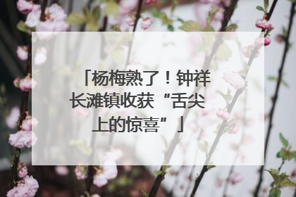 杨梅熟了！钟祥长滩镇收获“舌尖上的惊喜”