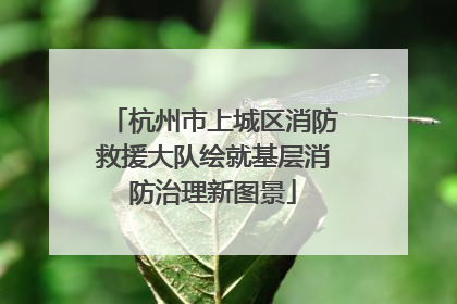 杭州市上城区消防救援大队绘就基层消防治理新图景