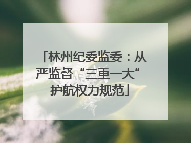 林州纪委监委：从严监督“三重一大” 护航权力规范
