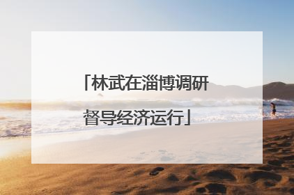 林武在淄博调研督导经济运行