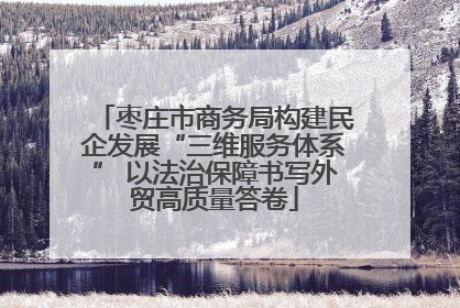 枣庄市商务局构建民企发展“三维服务体系” 以法治保障书写外贸高质量答卷