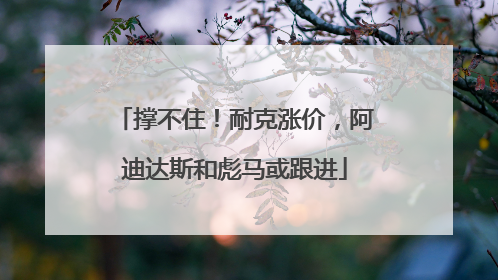 撑不住！耐克涨价，阿迪达斯和彪马或跟进