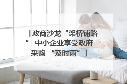 政商沙龙“架桥铺路” 中小企业享受政府采购 “及时雨”