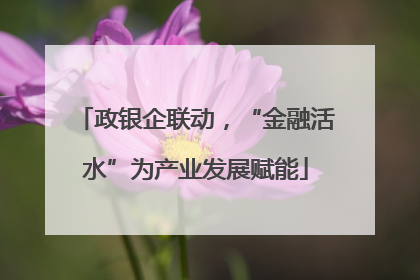 政银企联动，“金融活水”为产业发展赋能
