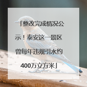 整改完成情况公示！泰安这一景区曾每年违规引水约400万立方米