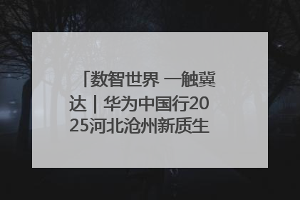 数智世界 一触冀达｜华为中国行2025河北沧州新质生产力峰会成功举办