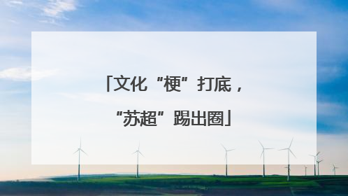 文化“梗”打底，“苏超”踢出圈