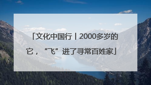 文化中国行丨2000多岁的它，“飞”进了寻常百姓家