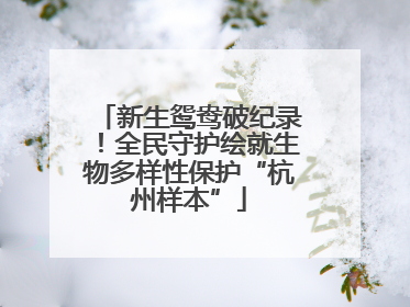 新生鸳鸯破纪录！全民守护绘就生物多样性保护“杭州样本”